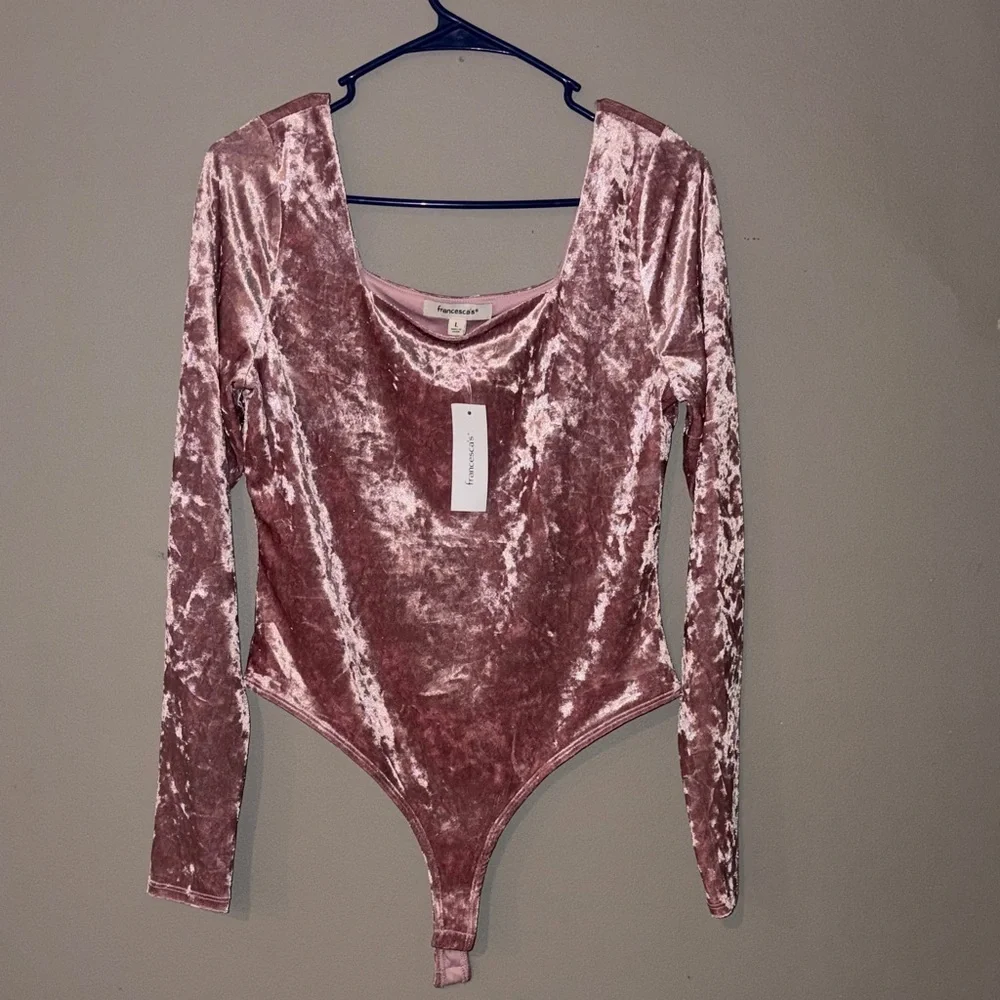 Francesca’s Velvet Bodysuit - Pink - Picture 3 of 9